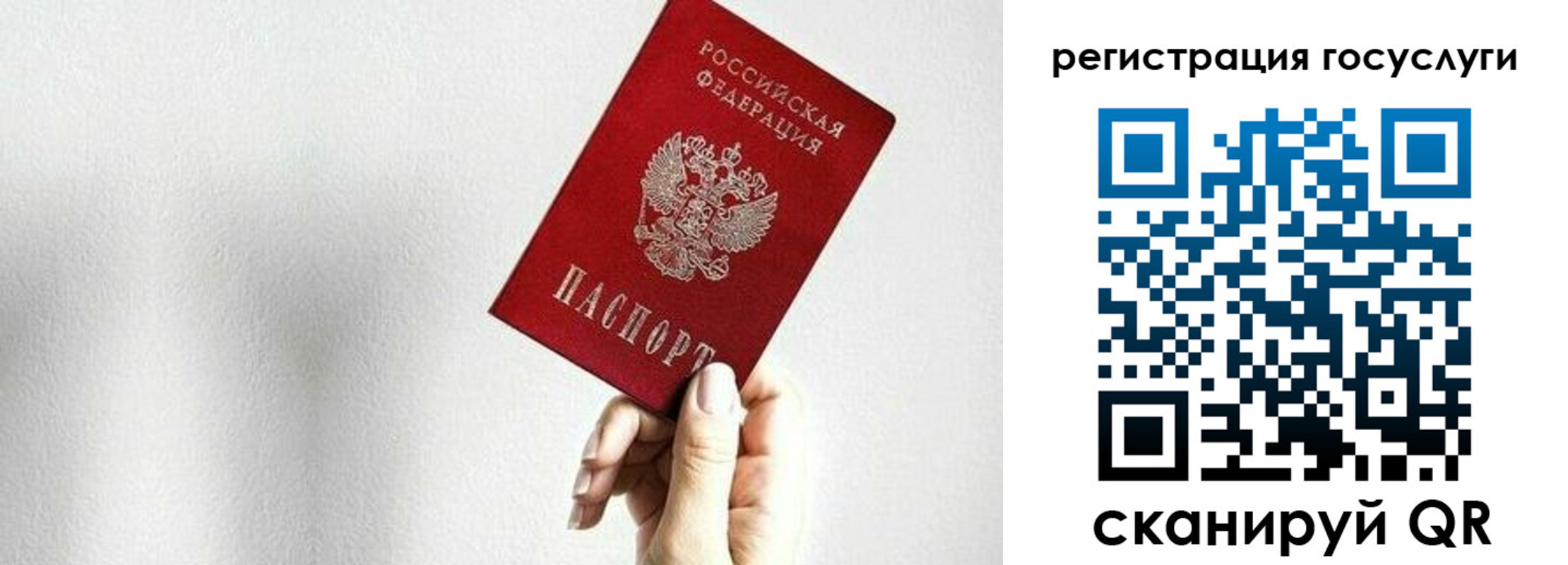 временная регистрация гарантия в Мончегорске